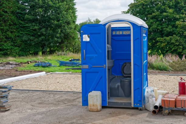 Best Portable Toilets with Baby Changing Stations  in Bella Vista, CA